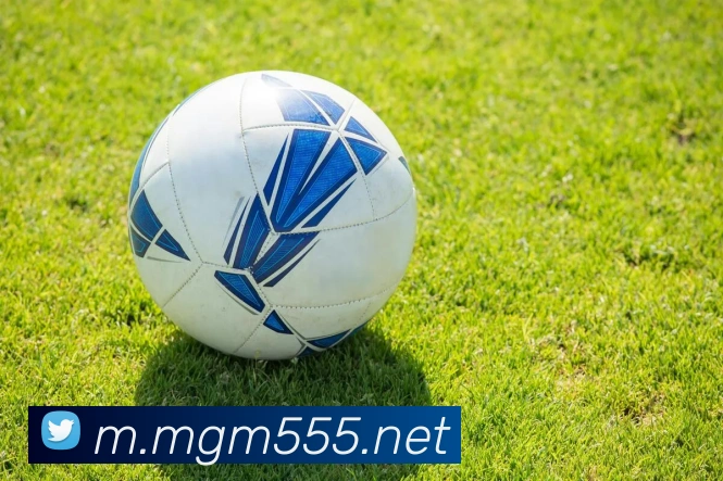 美高梅mgmAPP 封面图